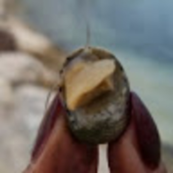 Meet your Posher, Jessica - Picture 1 of 1